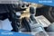 2020 Jeep Wrangler Sport Altitude