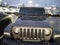 2019 Jeep Wrangler Sahara Altitude