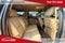 2014 Chevrolet Suburban 1500 LT