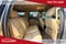 2014 Chevrolet Suburban 1500 LT