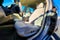 2006 Chevrolet Impala LT 3.5L