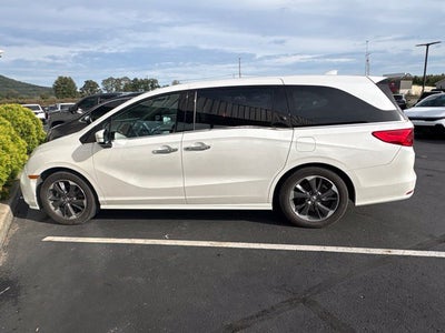 2023 Honda Odyssey Elite