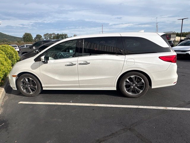 2023 Honda Odyssey Elite